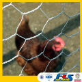 Chicken Wire Poultry Wire Chicken Wire Mesh/Chicken wire cage mesh